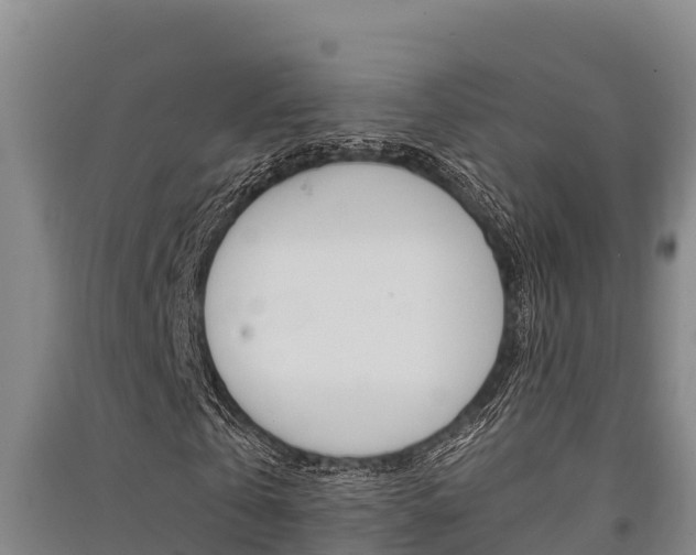 X0000091520769200708171009