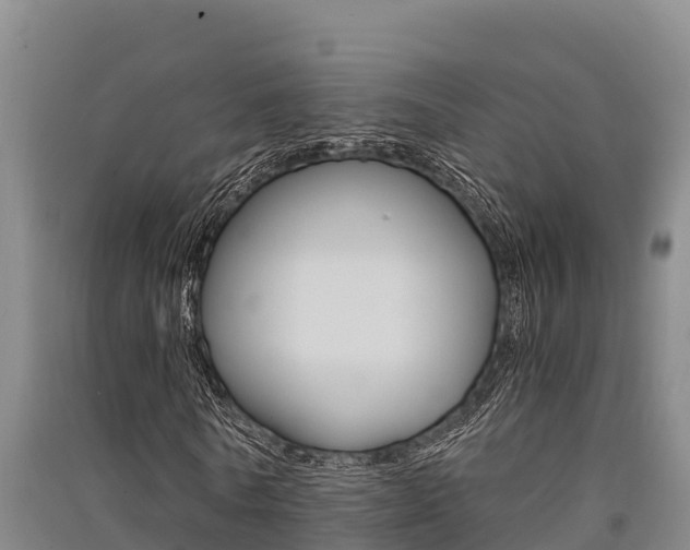 X0000091520770200708171009