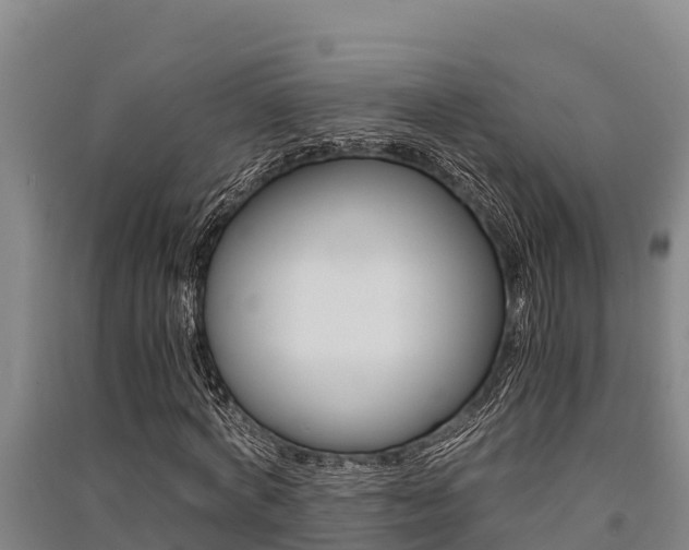 X0000091520772200708171009