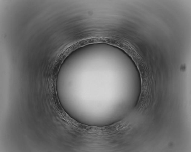 X0000091520773200708171009