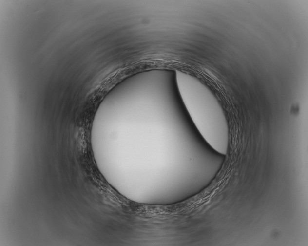X0000091520774200708171009