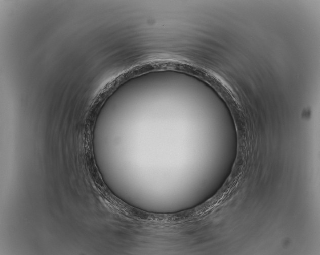 X0000091520775200708171009
