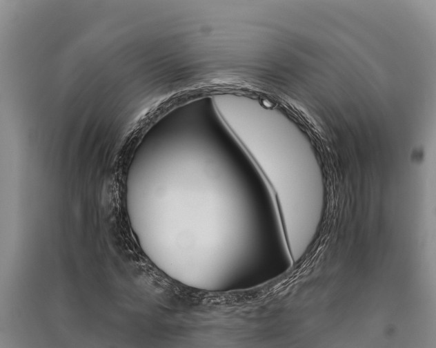 X0000091520776200708171009