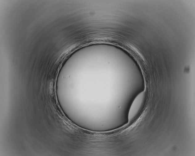 X0000091520777200708171009