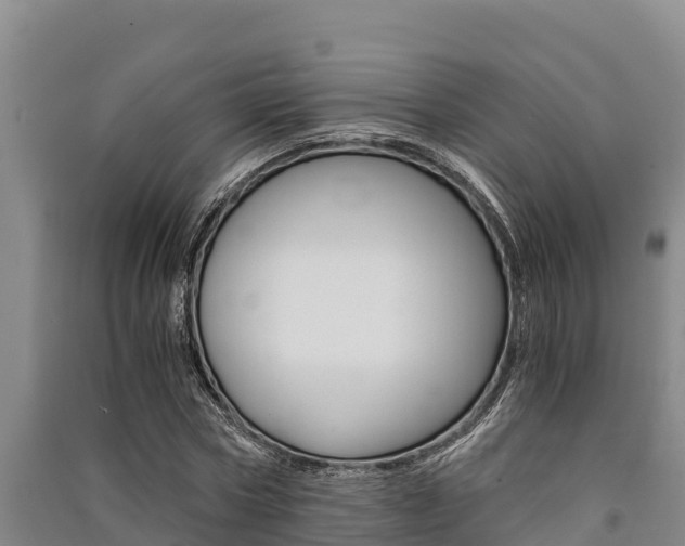 X0000091520778200708171009