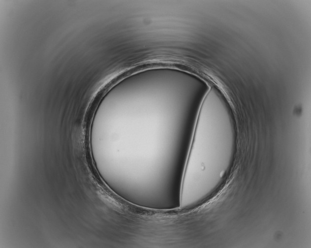 X0000091520779200708171009
