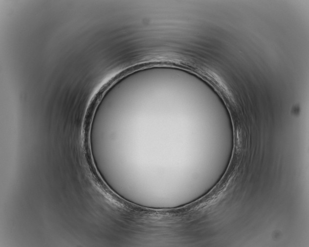 X0000091520780200708171009