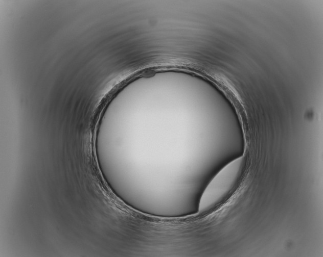X0000091520781200708171009