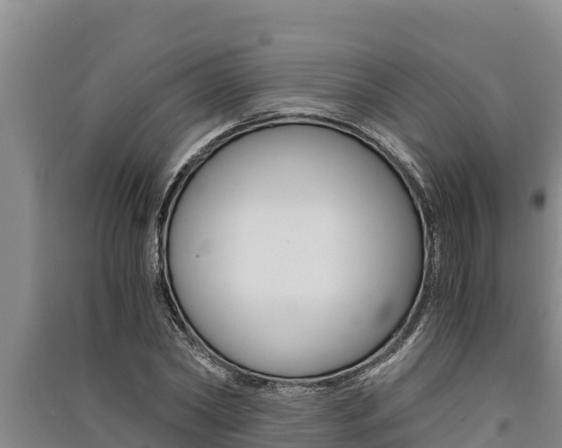 X0000091520782200708171009