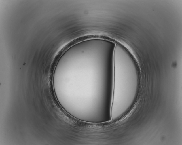 X0000091520783200708171009