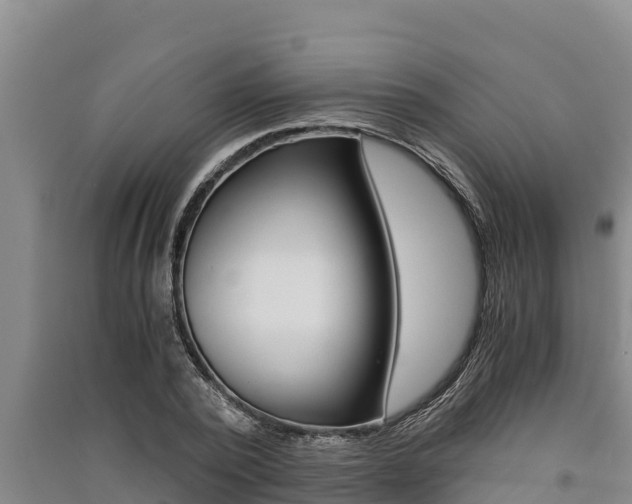 X0000091520784200708171009