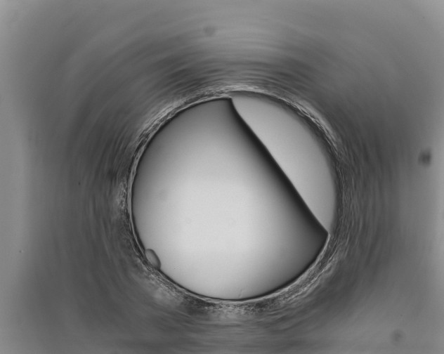 X0000091520785200708171009