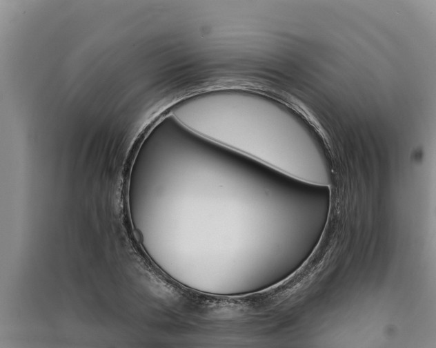 X0000091520786200708171009