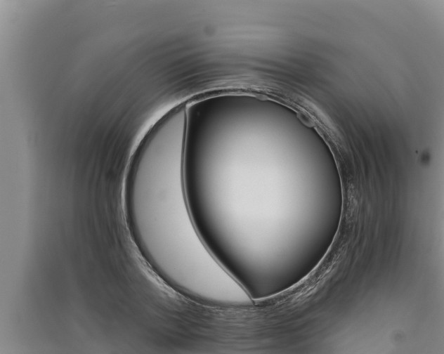 X0000091520788200708171009
