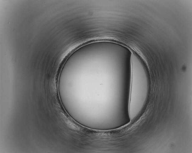 X0000091520789200708171009