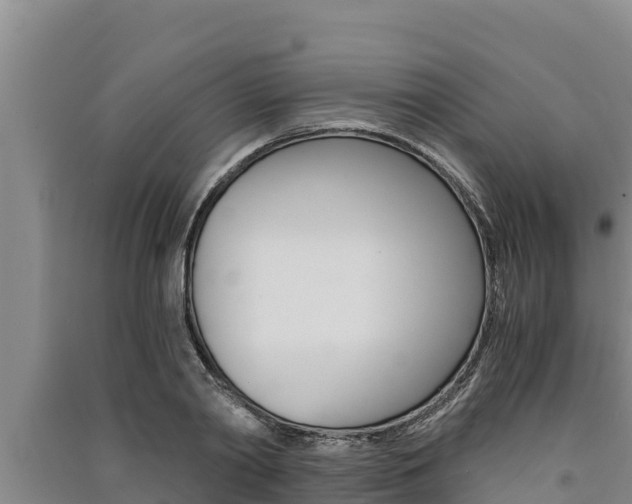 X0000091520790200708171009