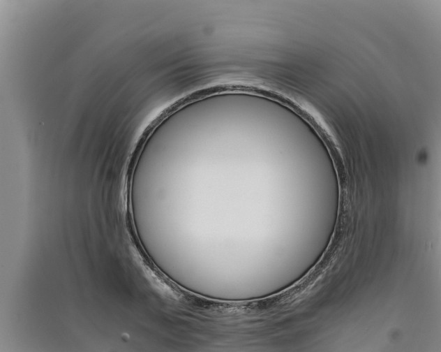 X0000091520791200708171009
