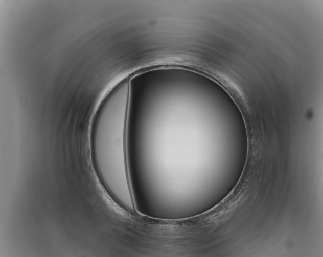X0000091520792200708171009
