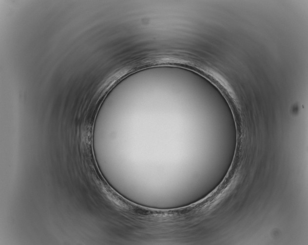X0000091520793200708171009