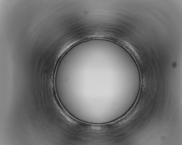 X0000091520794200708171009