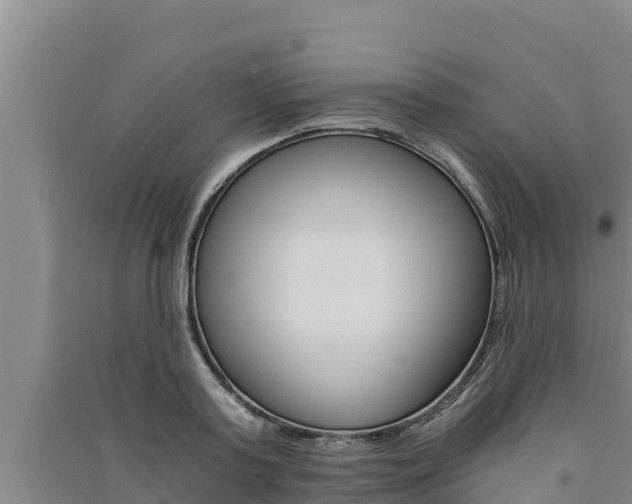 X0000091520795200708171008
