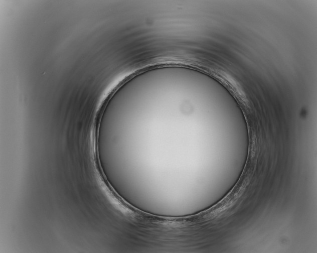 X0000091520796200708171008