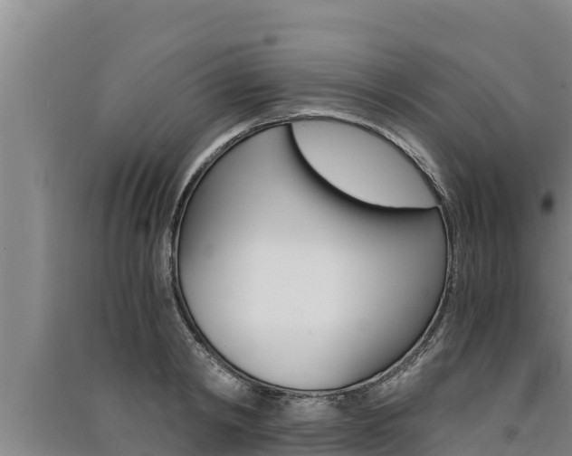 X0000091520798200708171008