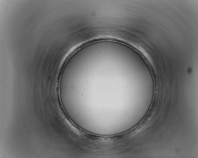 X0000091520799200708171008