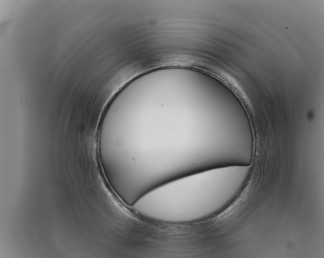 X0000091520802200708171008