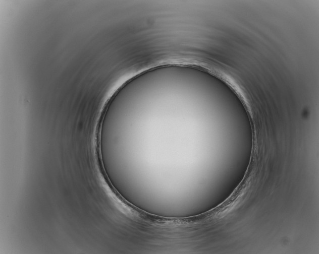 X0000091520803200708171008