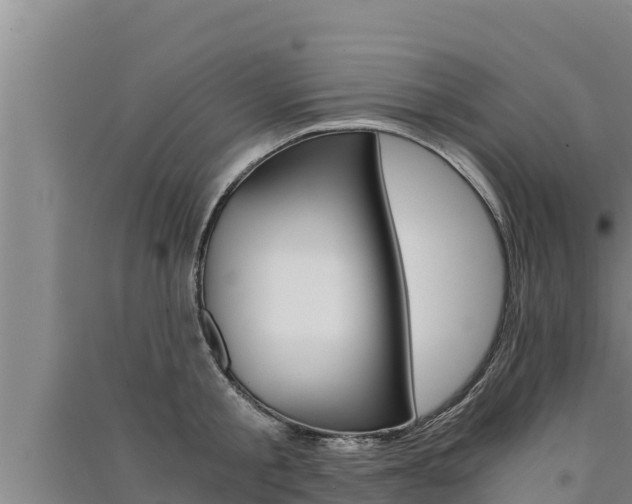 X0000091520805200708171008