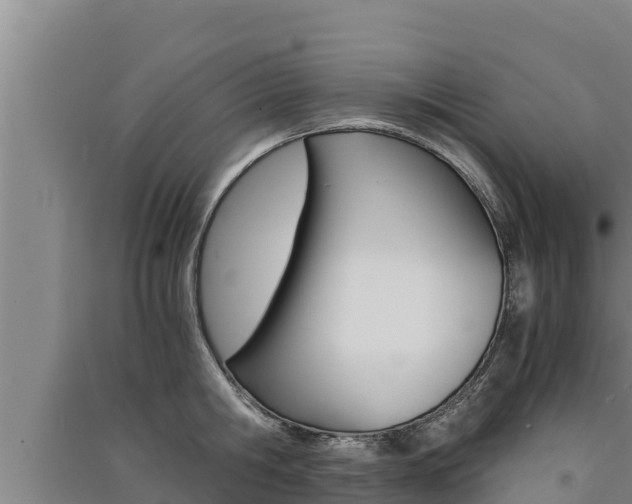 X0000091520806200708171008