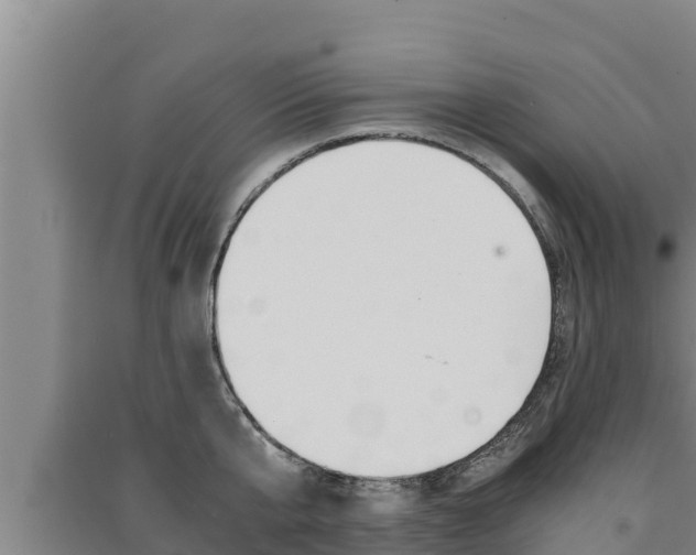 X0000091520807200708171008