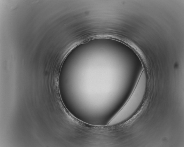 X0000091520809200708171008