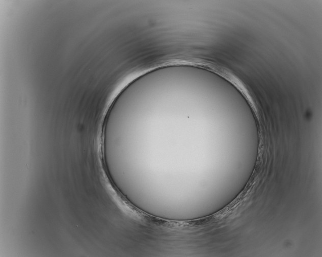 X0000091520811200708171008