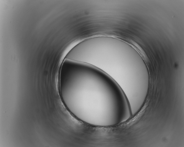 X0000091520812200708171008