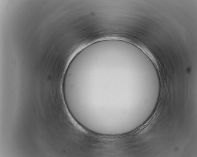 X0000091520813200708171008