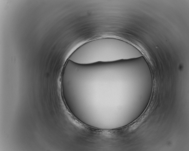 X0000091520814200708171008