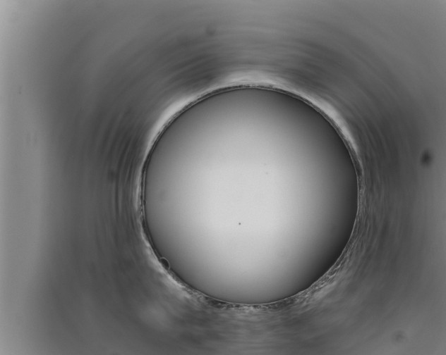 X0000091520815200708171008