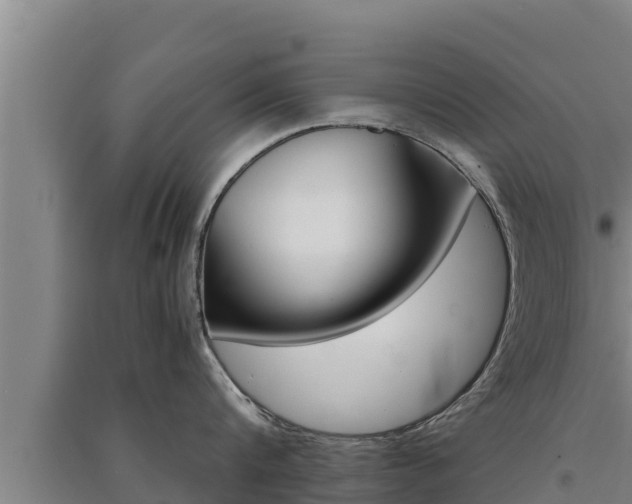 X0000091520816200708171008
