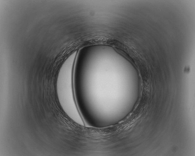 X0000091520818200708171008