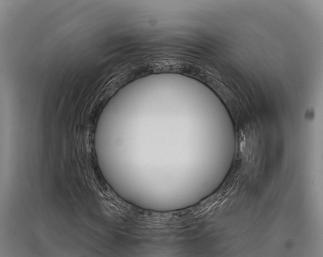 X0000091520819200708171008