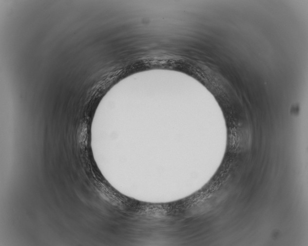 X0000091520820200708171008