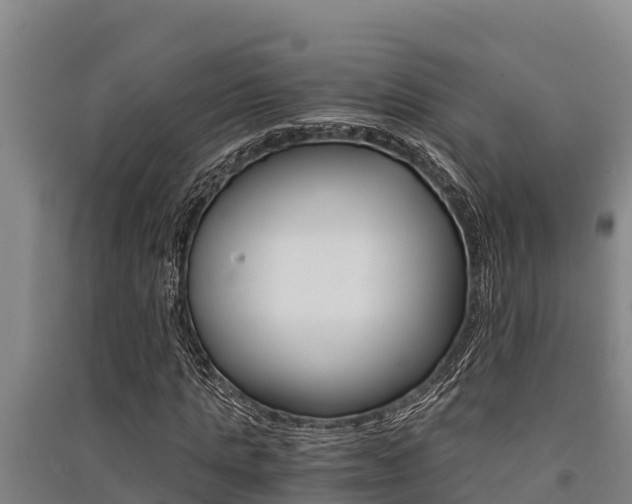 X0000091520821200708171008