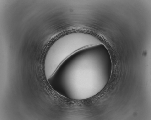 X0000091520822200708171008