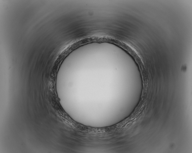 X0000091520823200708171008