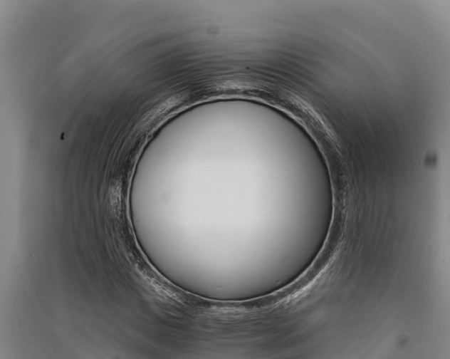 X0000091520825200708171008
