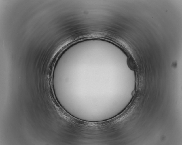 X0000091520827200708171008