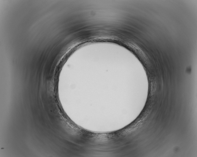 X0000091520828200708171008