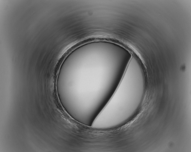 X0000091520829200708171008